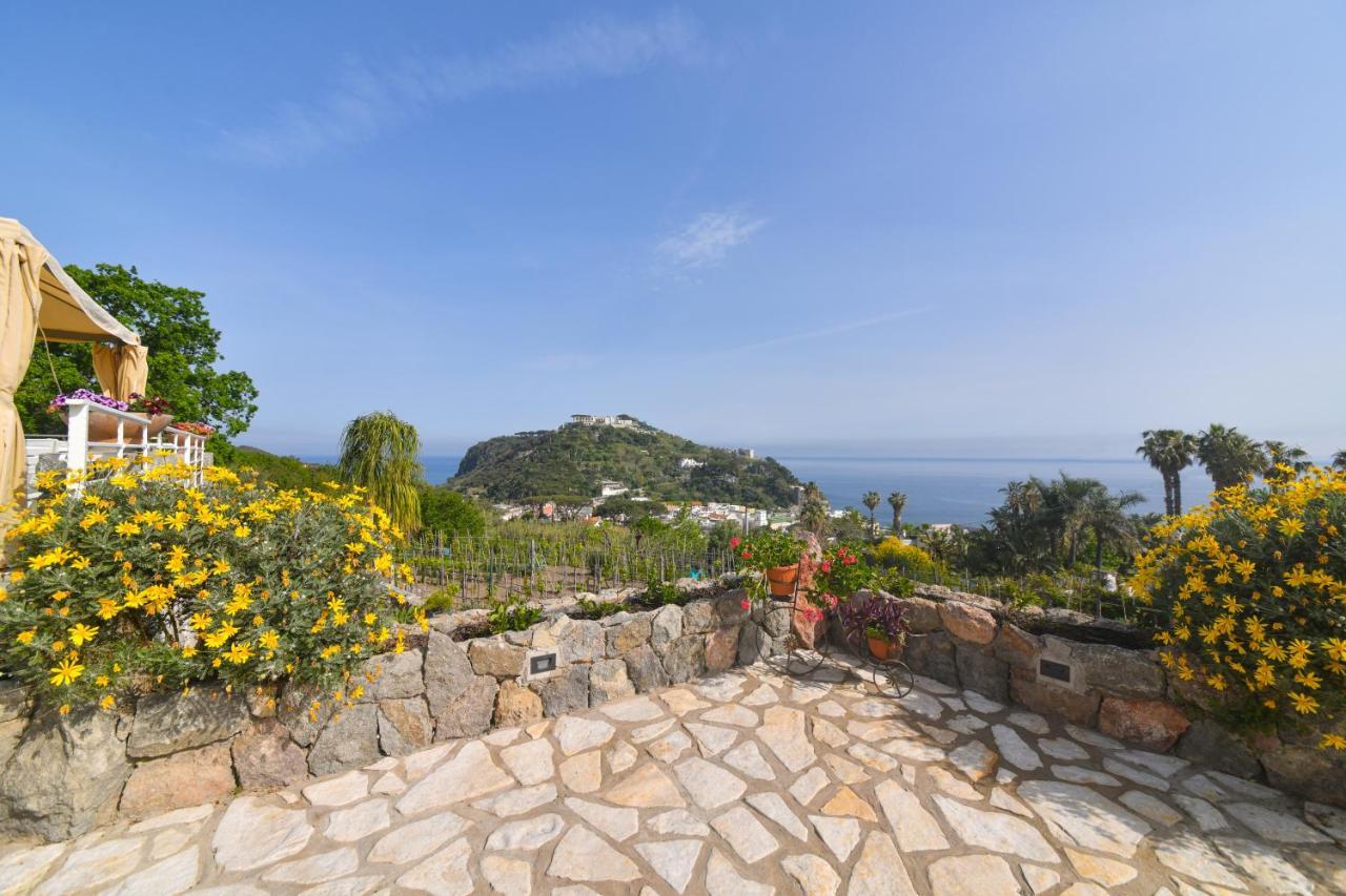 Belgodere Di Mezzavia Apartments Lacco Ameno  Εξωτερικό φωτογραφία