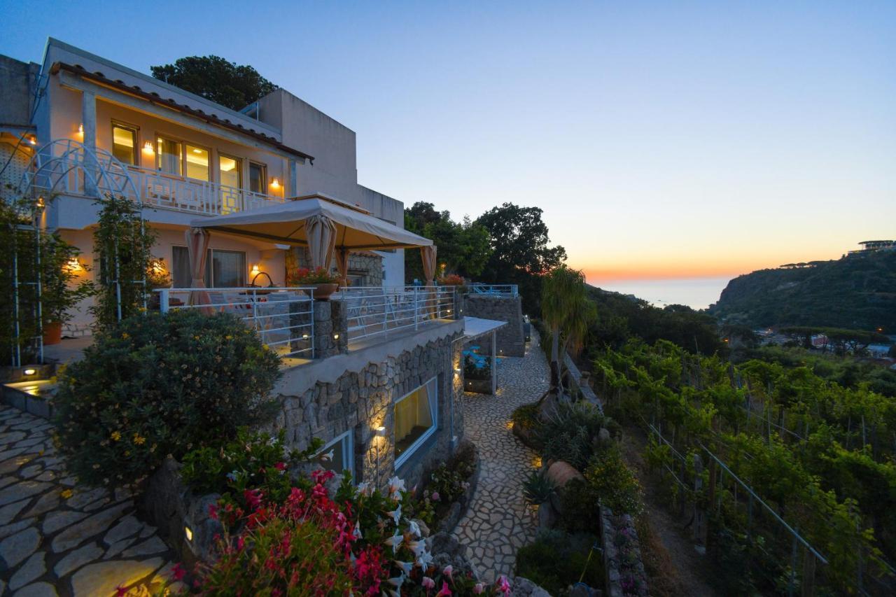 Belgodere Di Mezzavia Apartments Lacco Ameno  Εξωτερικό φωτογραφία